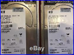 2 x HP 300GB INTERNAL SCSI HARD DRIVE 80PIN 10K RPM 3.5 BD300884C2 364881-001