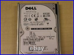 Dell P252M 300GB 10000 RPM SAS 2.5 INCH 6Gbps Hard Disk Drive withG176J Caddy
