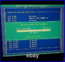 IBM Ultrastar 36.4 Gb SCSI (80 pin SCA) HDD, Formatted NTFS, tested and working