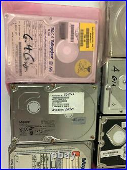 Lot of 17 GOOD Vintage SCSI IDE Hard Drives IBM Maxtor Seagate Quantum WD Caviar